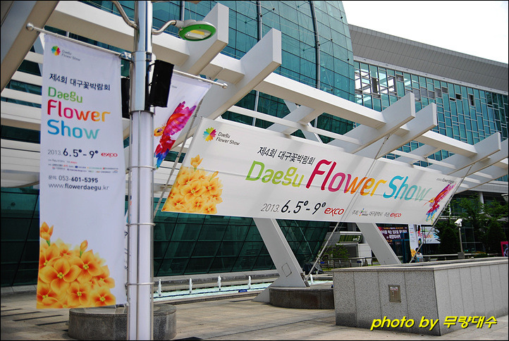 엑스코플라워 이미지