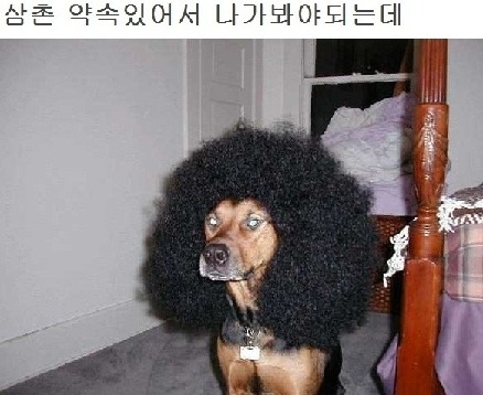 엄마밥도 이미지