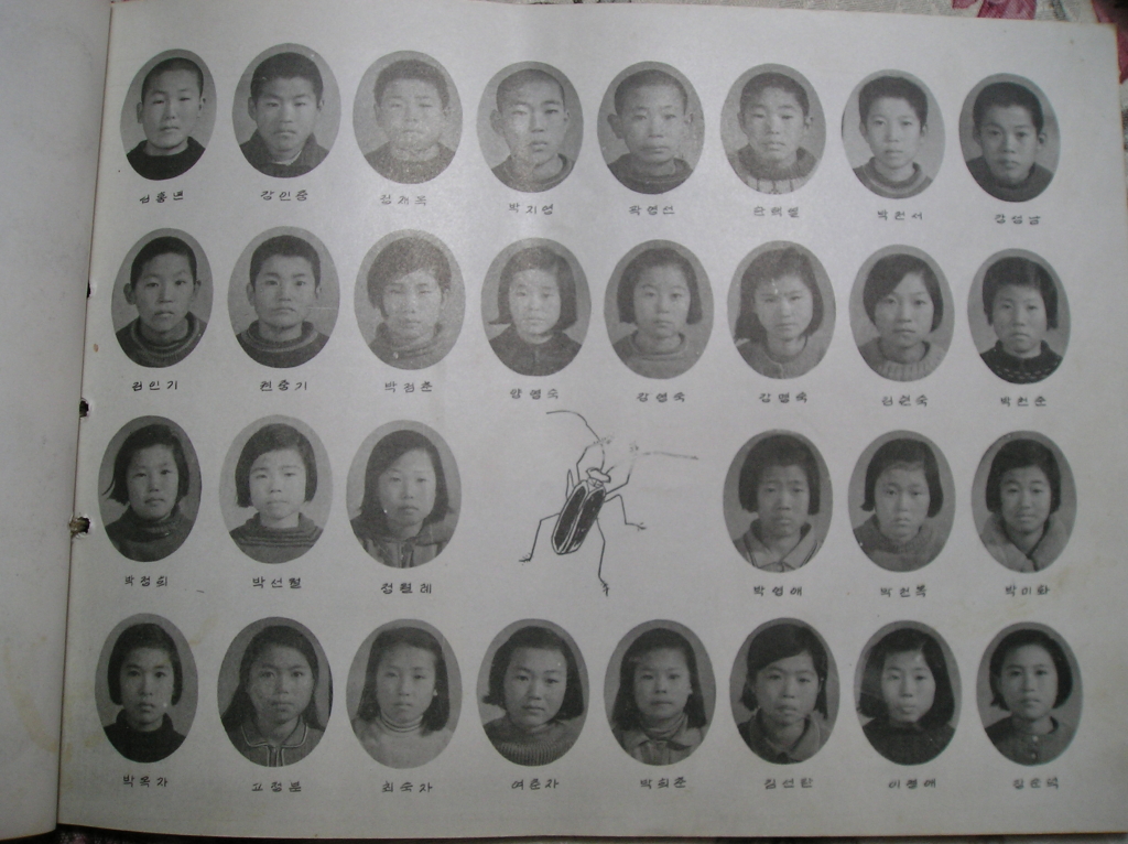 백종관 이미지