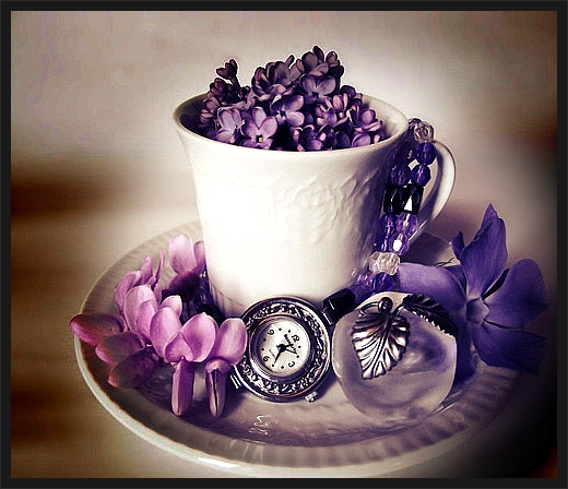 12245C4650E82548219A15