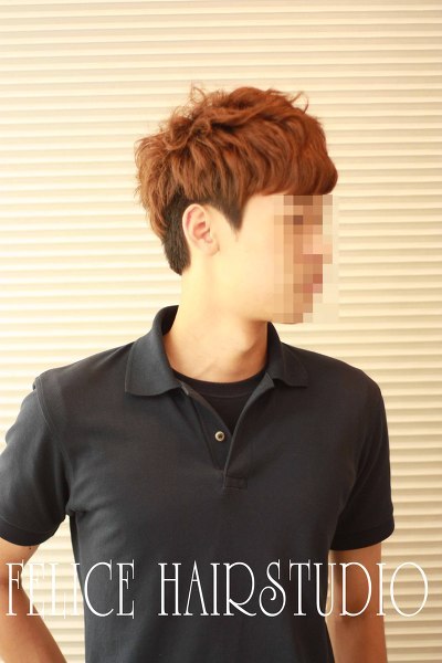 스왈로 이미지
