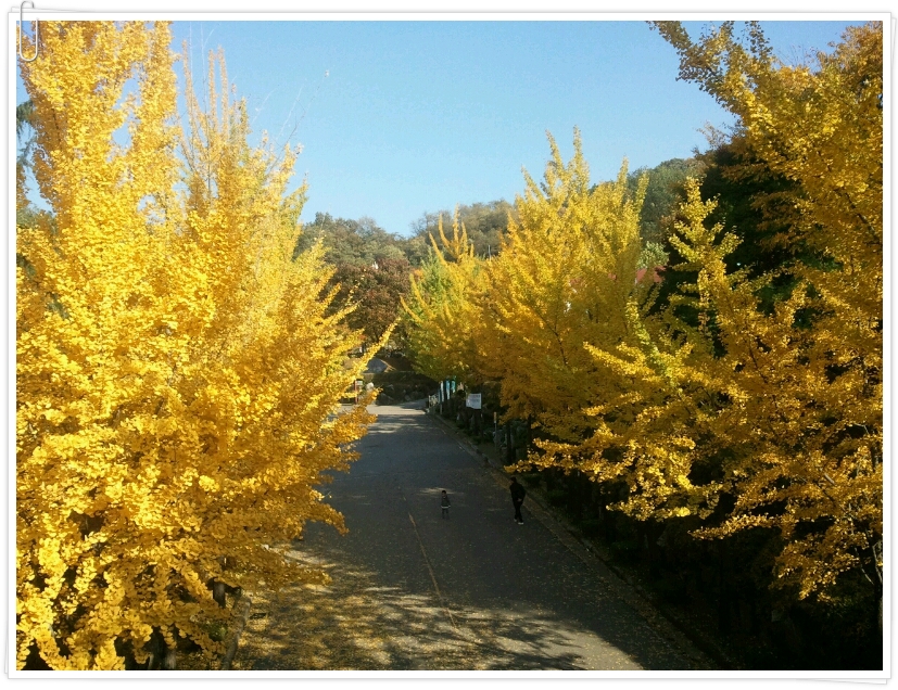 용우네 이미지