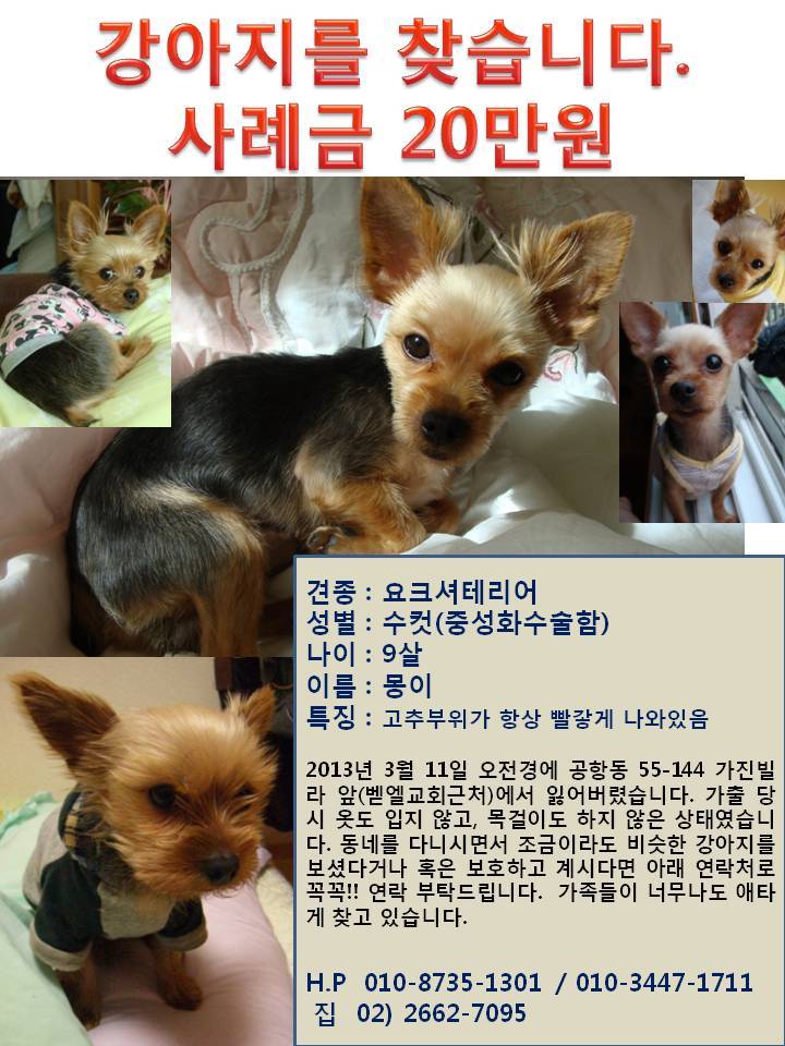 수컷 이미지
