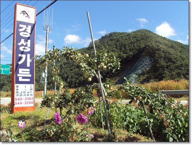 경성가든 이미지