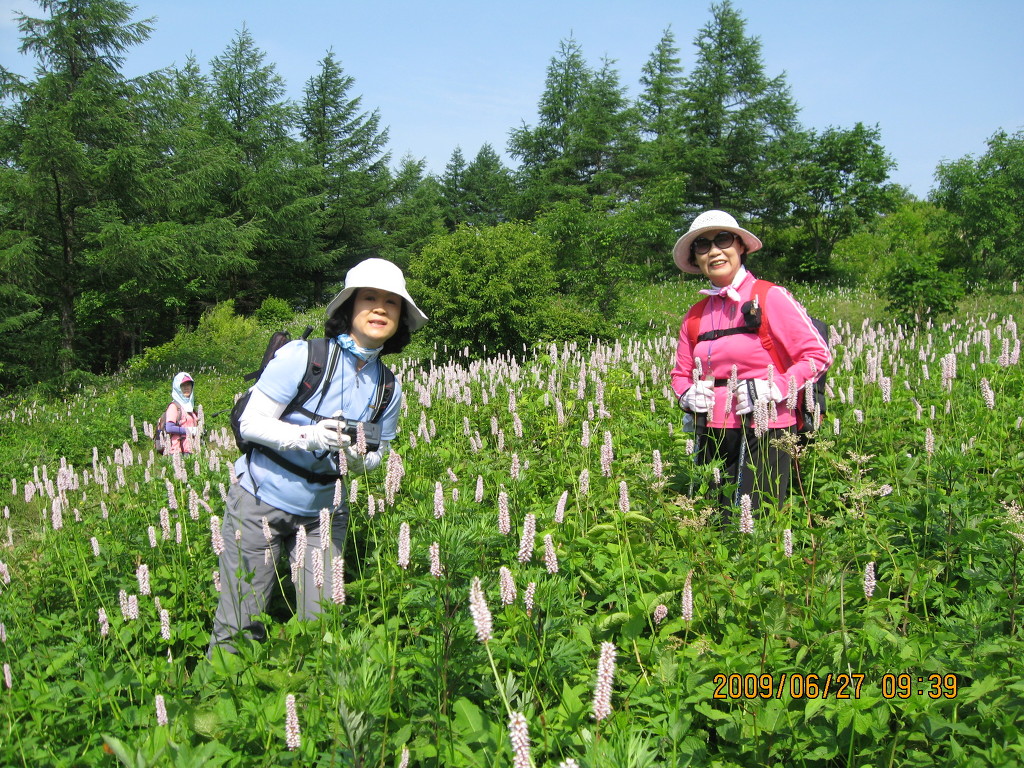 대덕산 정상 이미지