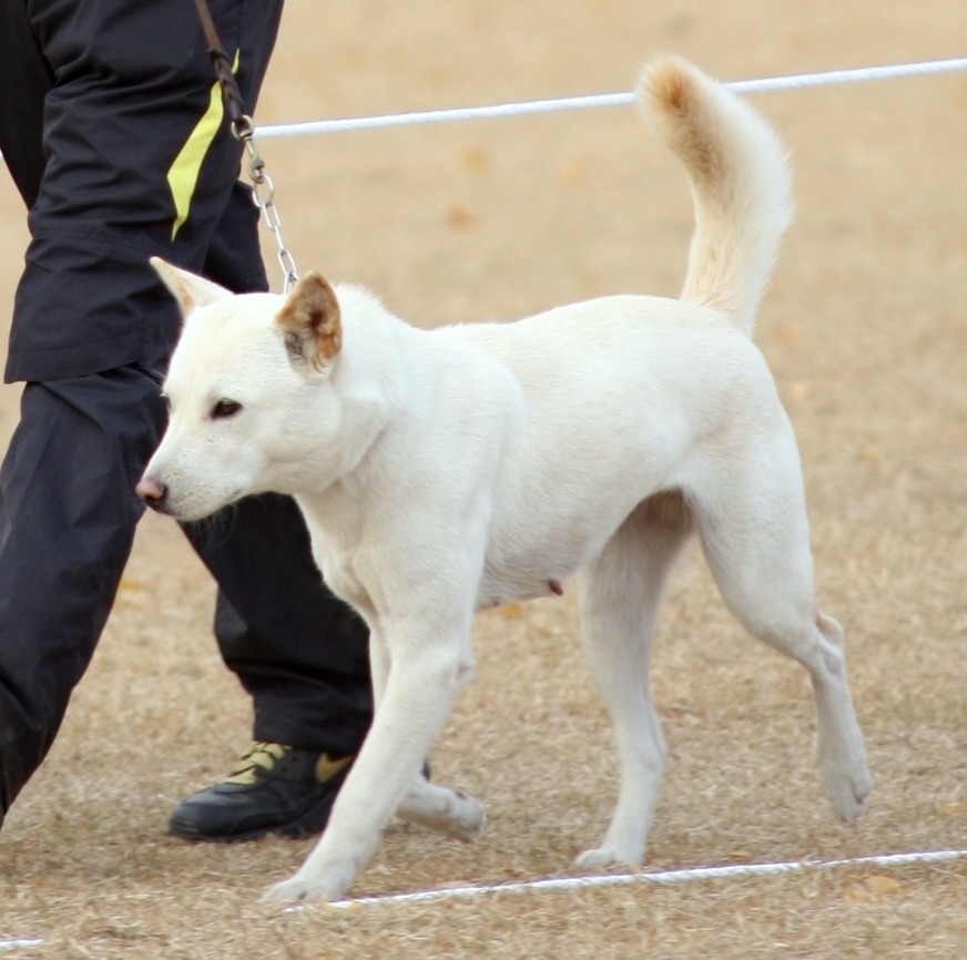 몽실이 이미지