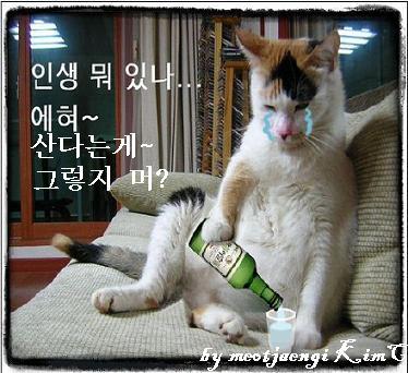 나두 이미지