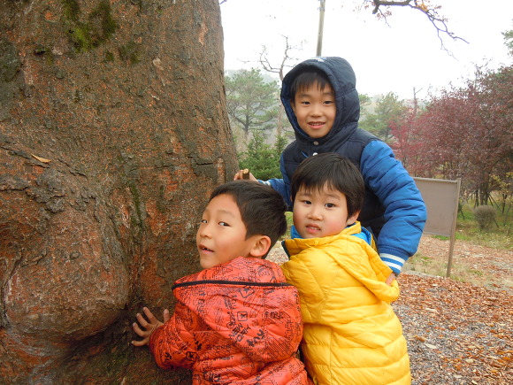 시립에스케이테크노파크어린이집 이미지