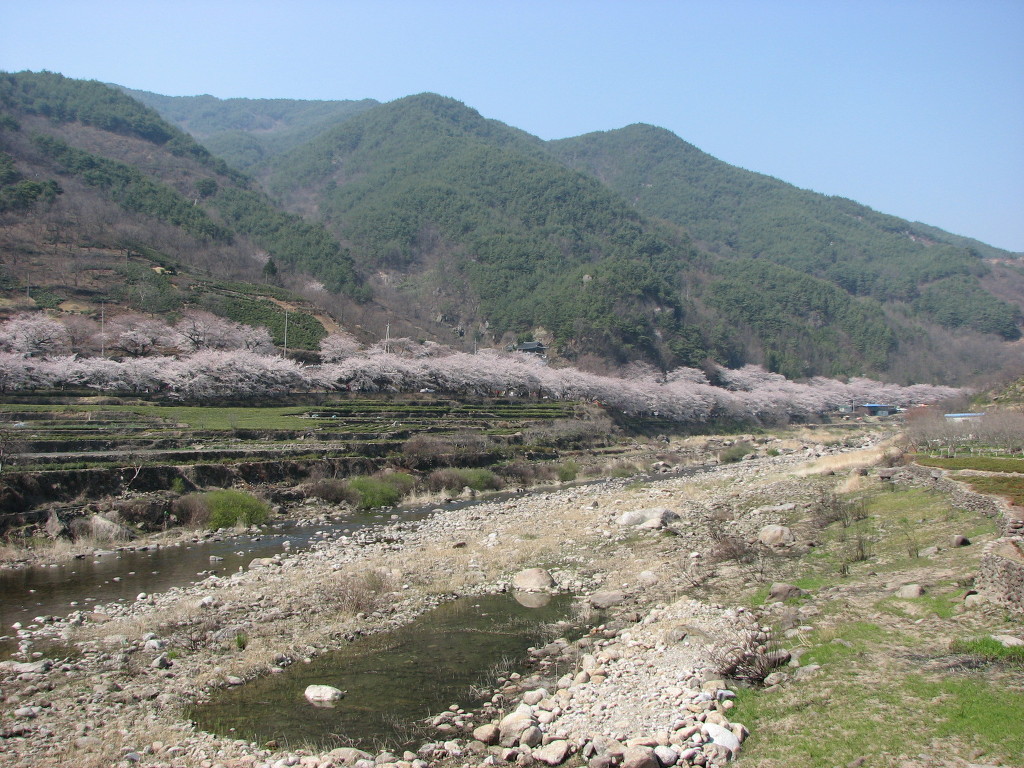 하동 이미지