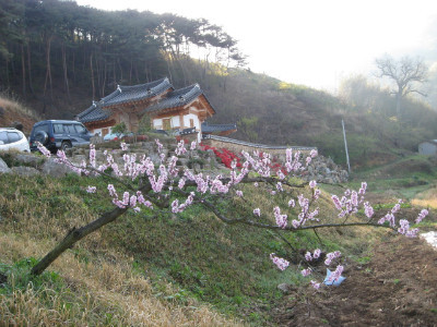 태호당 이미지