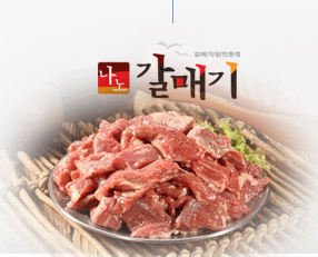 나노갈매기 이미지