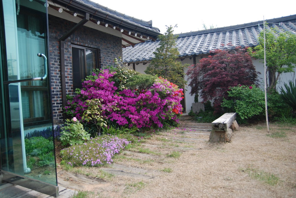 마당 이미지
