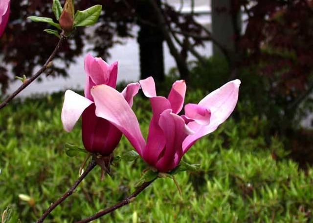 박*주 이미지