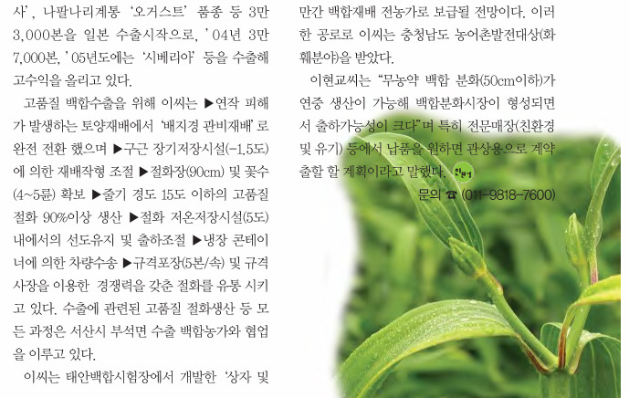 백합사 이미지