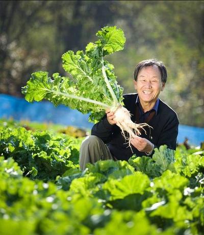 (주)아라케어 이미지