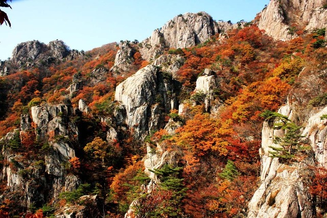 대둔산 이미지