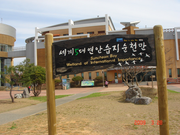 순천만 숲5 이미지