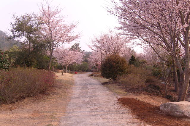 사계절농원 이미지
