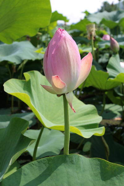 마실이야기 이미지