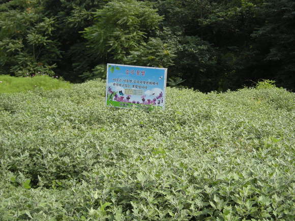 승곡체험마을 이미지