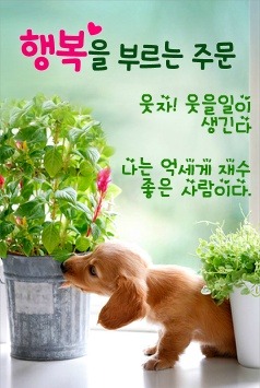 일번지치킨호프 이미지