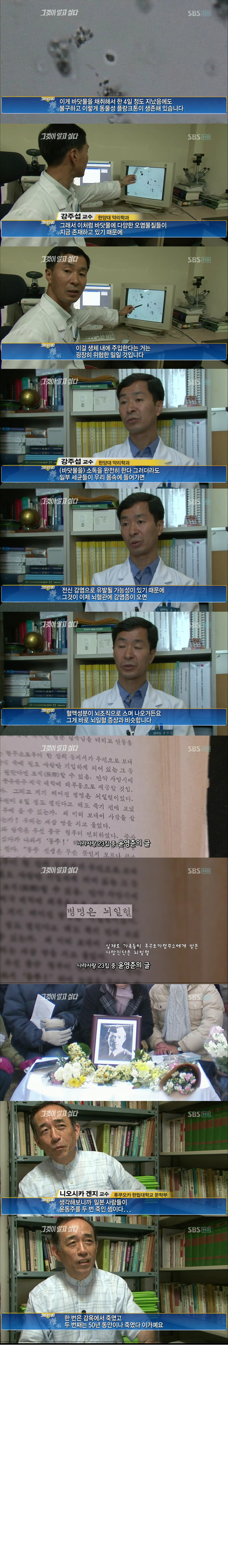 윤동주 시인이 왜 죽었는지 아시나요? | 인스티즈