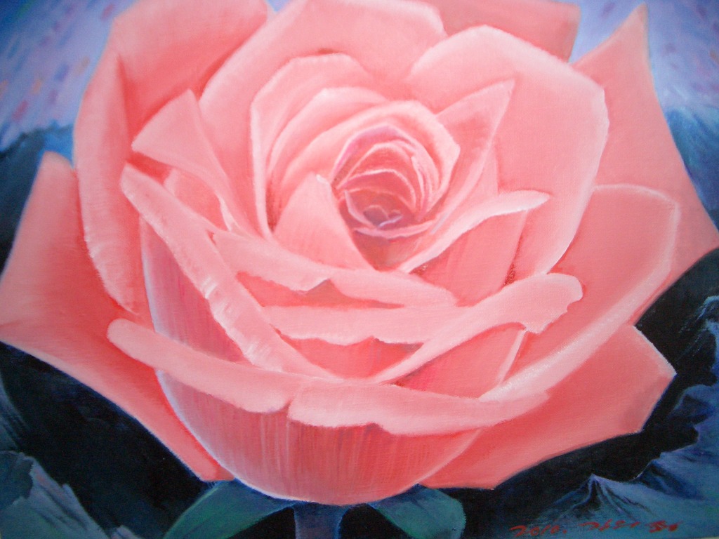 백장미 이미지