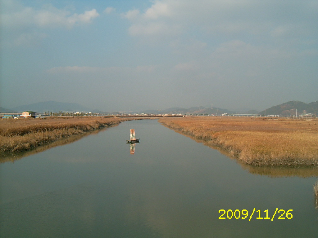 순천만 숲1 이미지