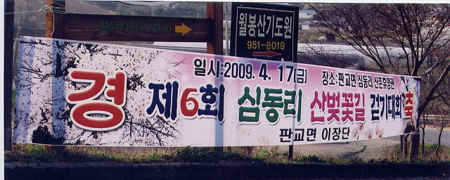 심동 이미지