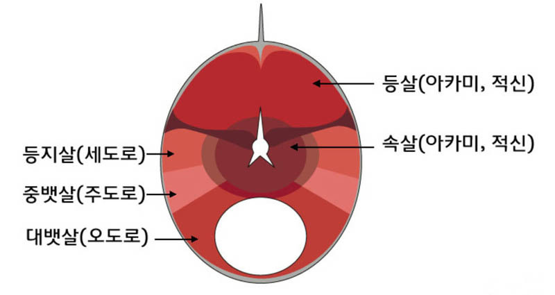 참치플러스 이미지