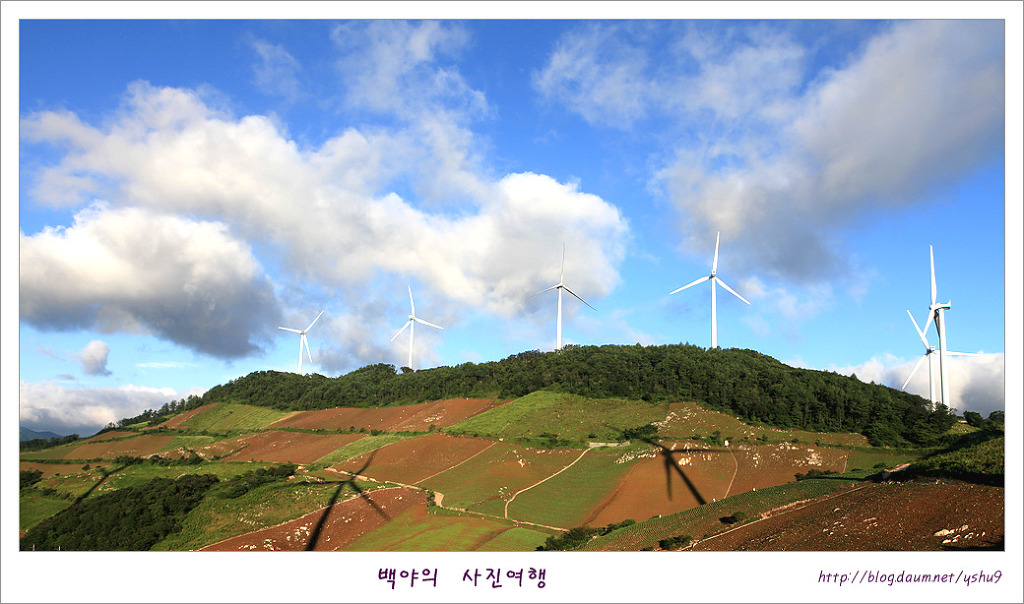 태백고냉지 이미지