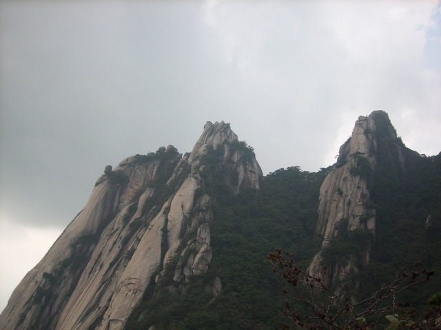 일오일 이미지