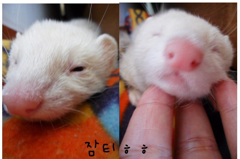 잠티 이미지