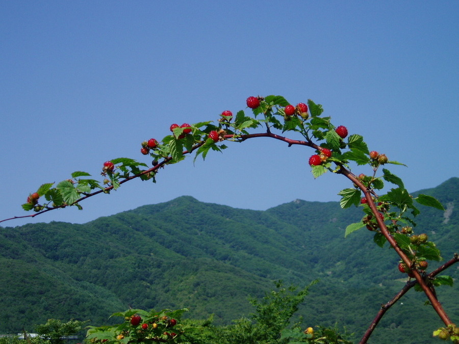 그리운 풍경 이미지