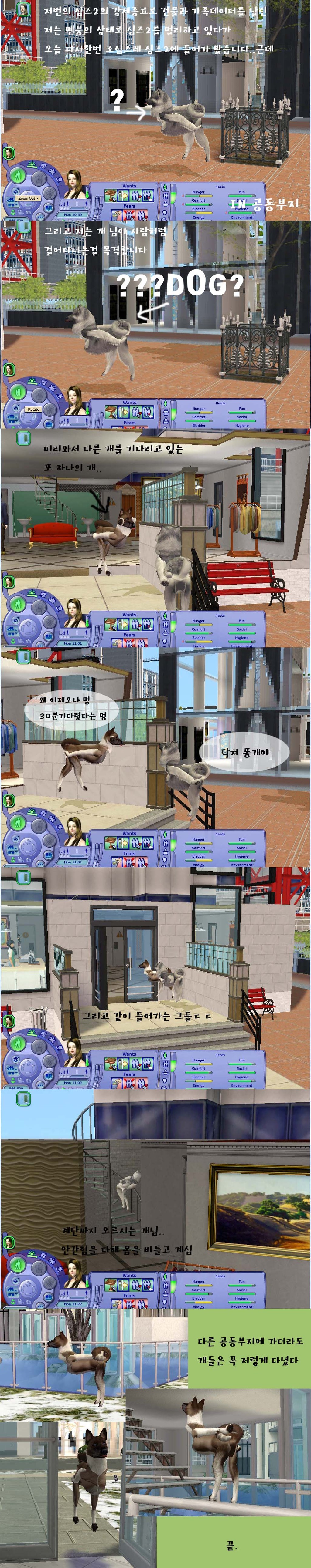 개들이.. 걸어다녀요 | 인스티즈