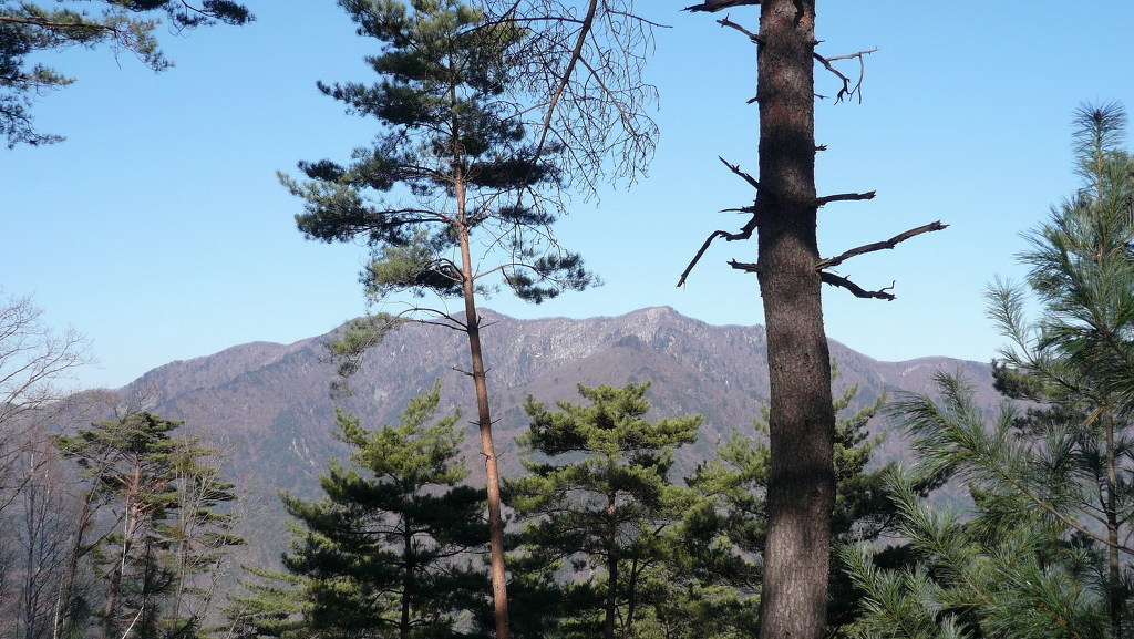 덕산커피 이미지