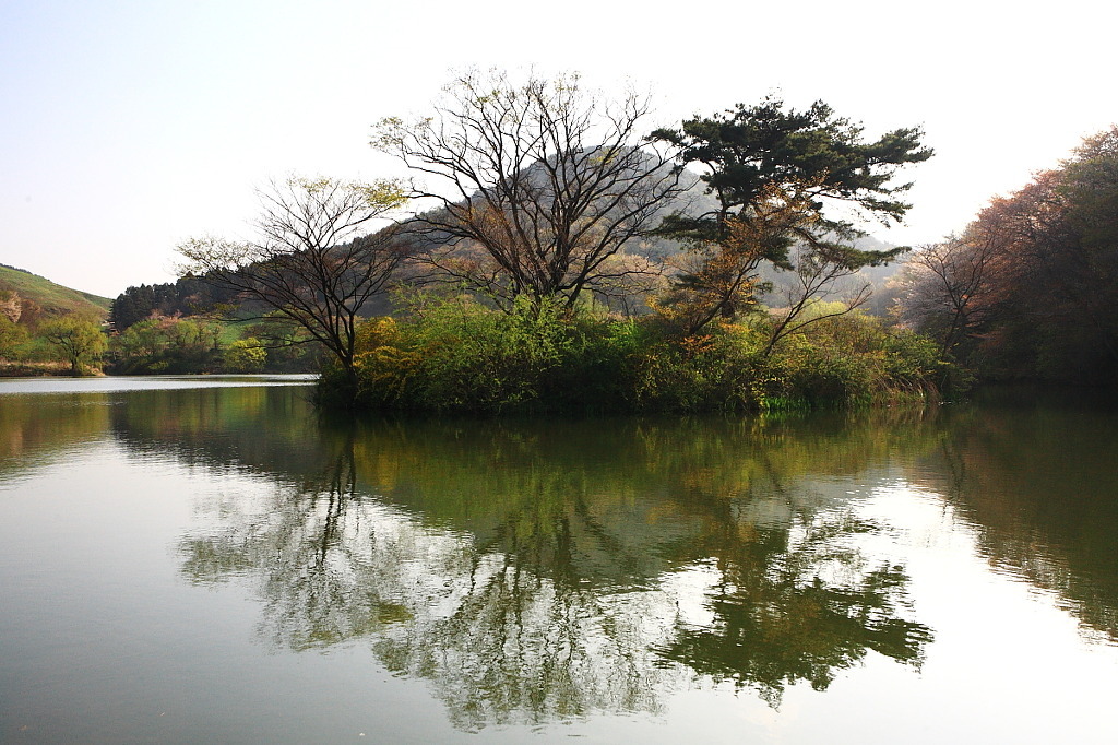 운산주유소 이미지