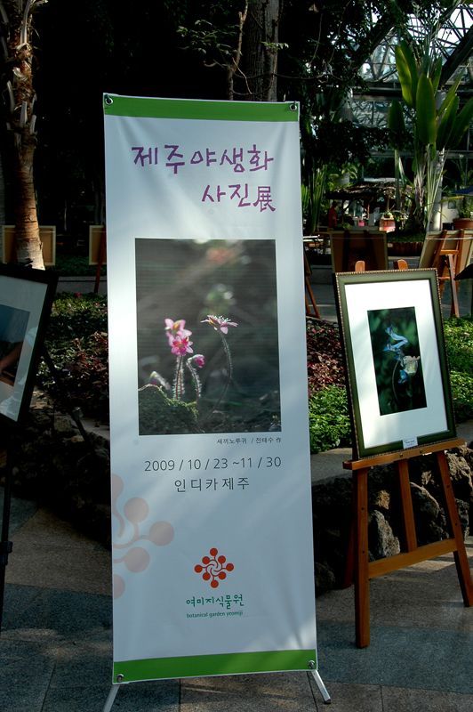 여미지 이미지
