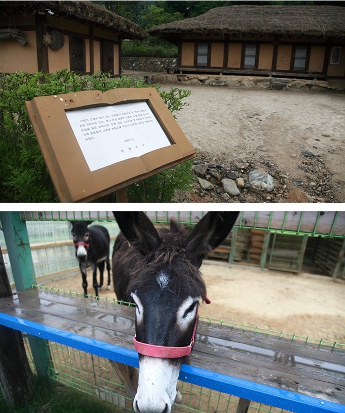 성서방네처녀의집 이미지