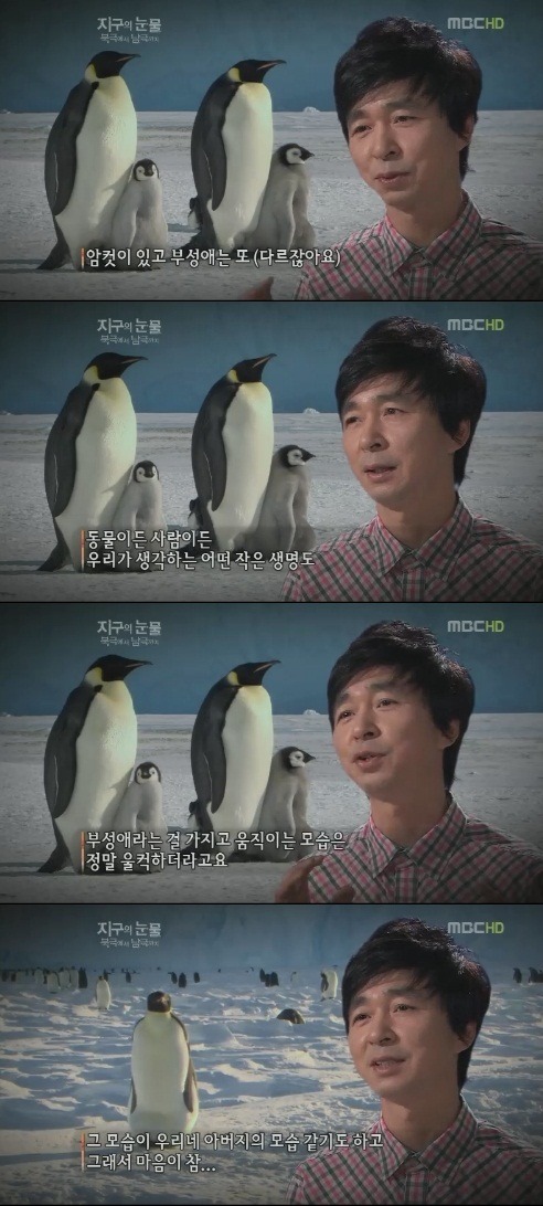 황제 이미지