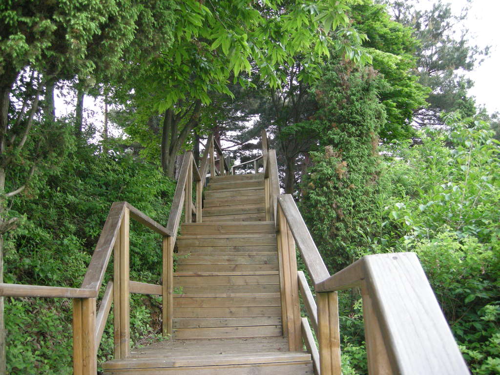 중앙소방학교 이미지