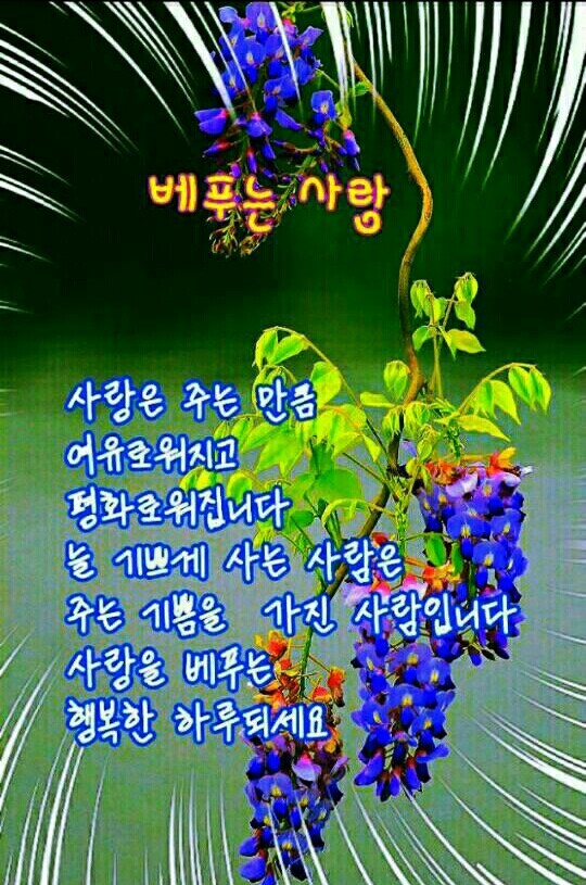 잡동산이 이미지