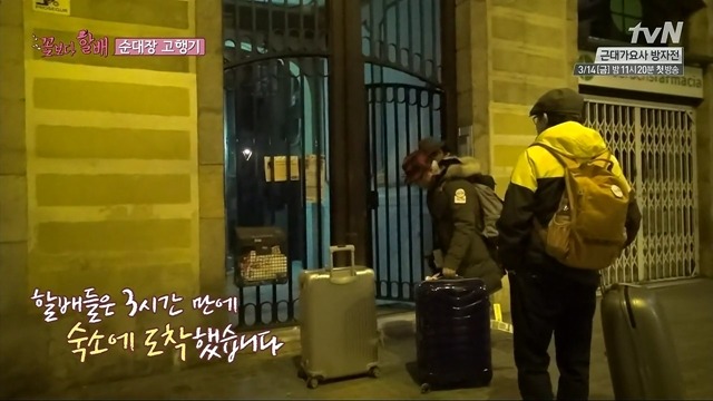 [꽃보다할배] 81살 이순재가 스페인 숙소를 1번에 찾을수 있었던 이유.jpg (feat.이서진이가 없써...) | 인스티즈