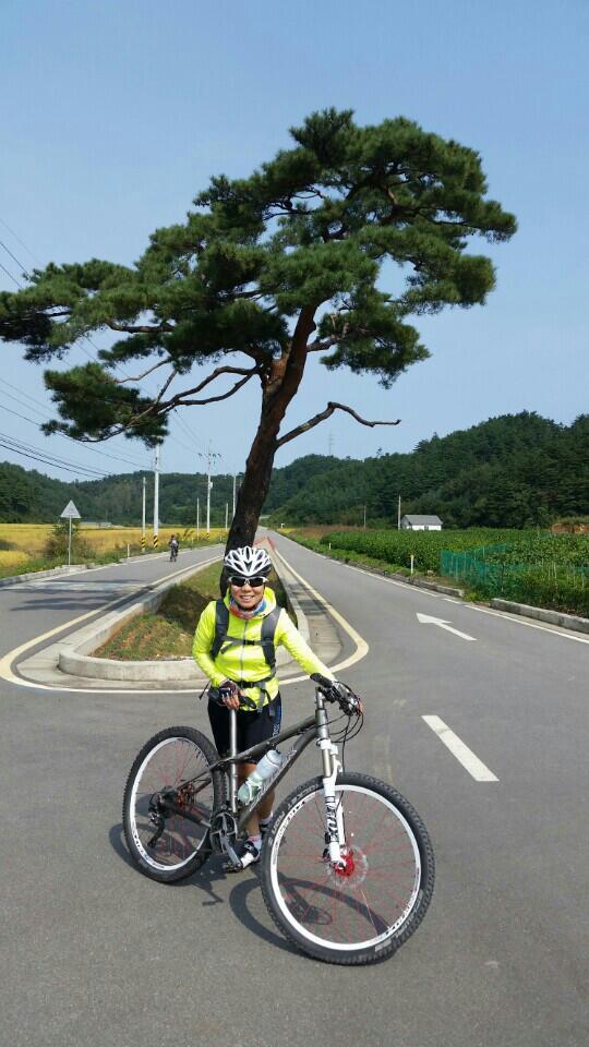 안투어 이미지