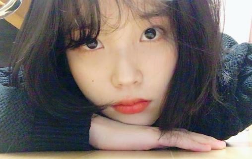 역대급 아이유 닮았다는 사진작가ㄷㄷㄷㄷ | 인스티즈