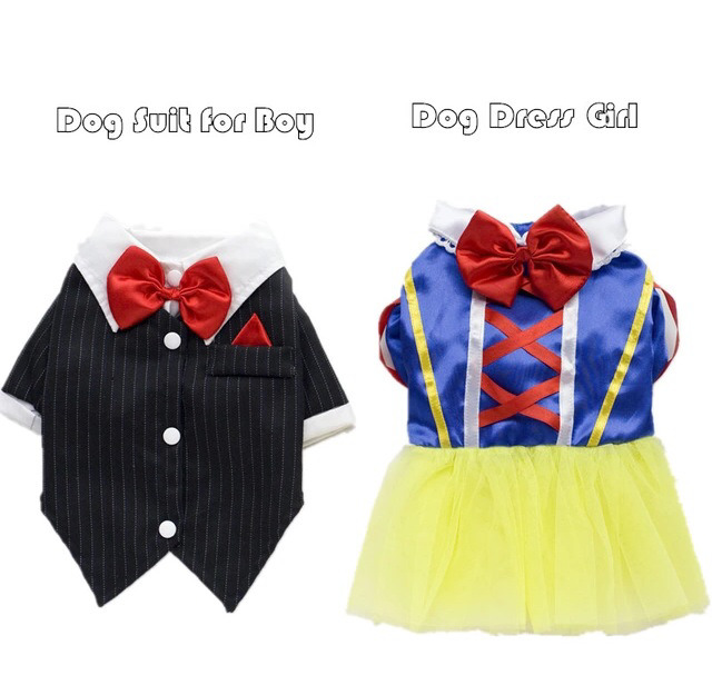 갱쥐맘들 뽐뿌오게 하는 게시물 감당할 자신이없다면 들어오지마쉥!!!!!! (끄앜) | 인스티즈