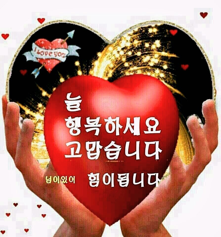 피어나 이미지