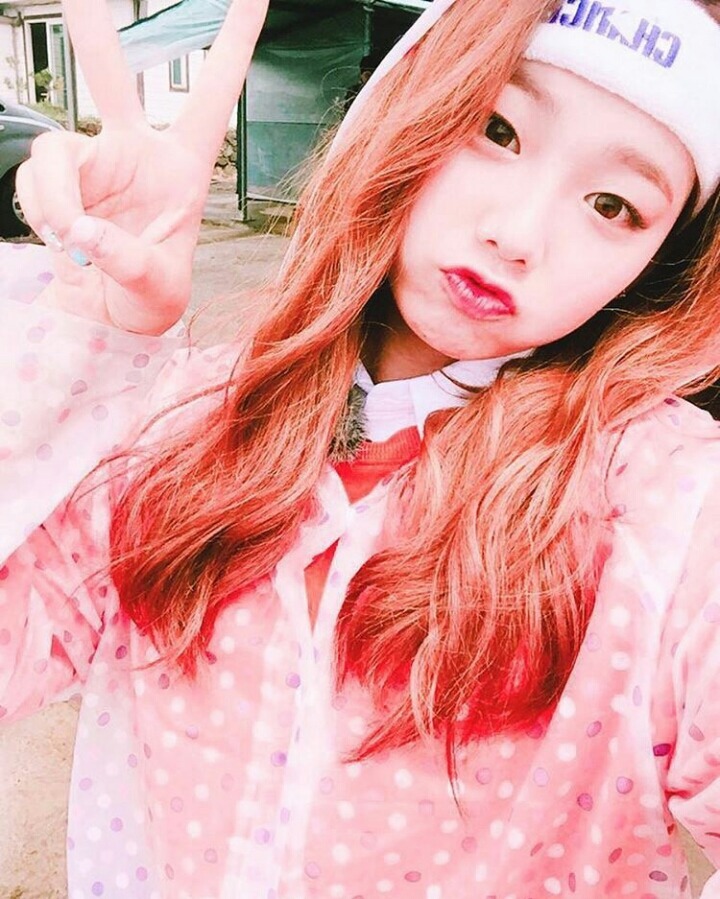 강미나 인스타 업뎃 | 인스티즈