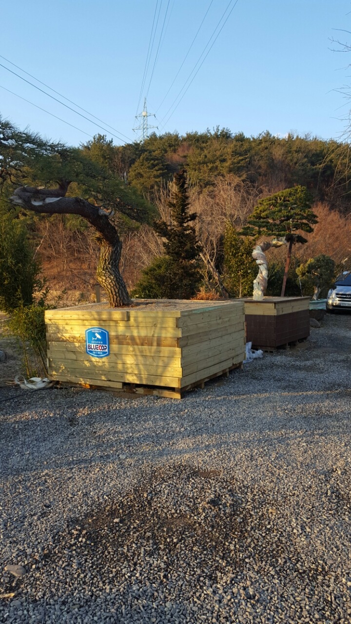대야원 이미지
