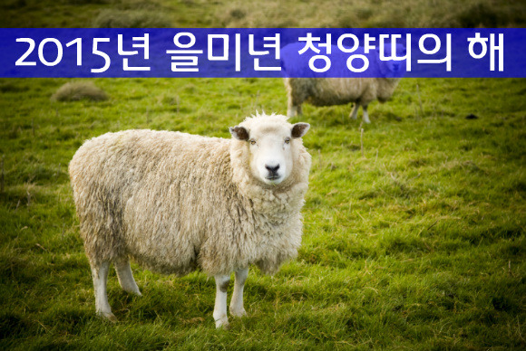 항도주유소 이미지